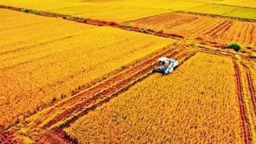 摩根大通报告里，藏着最狠的对比：中国一直在囤粮食、化肥、能源、工业金属；西方呢？