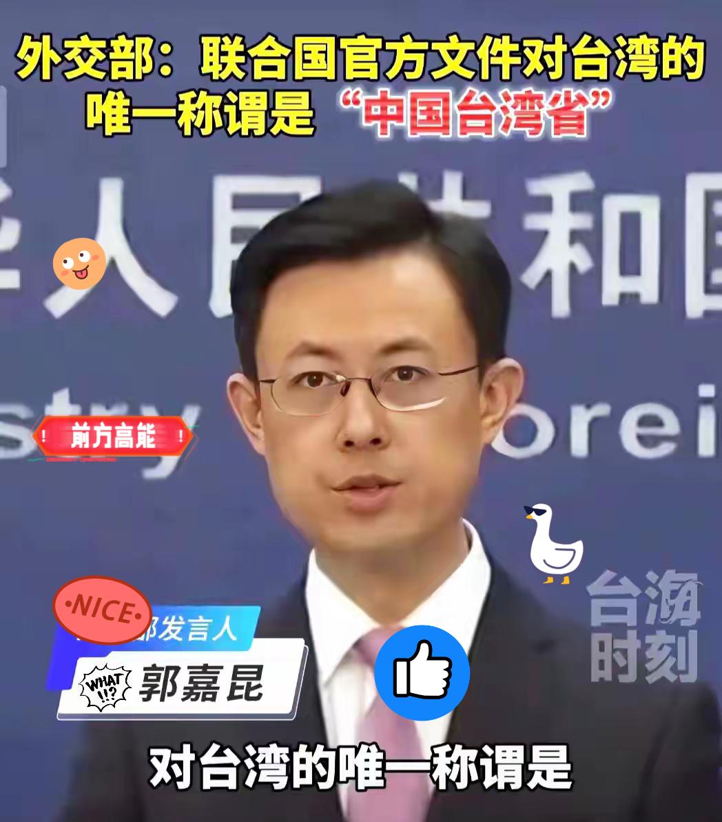 重大消息！
外交部再发强音，联合国早已定调：
台湾的唯一名字就是“中国台湾省”，