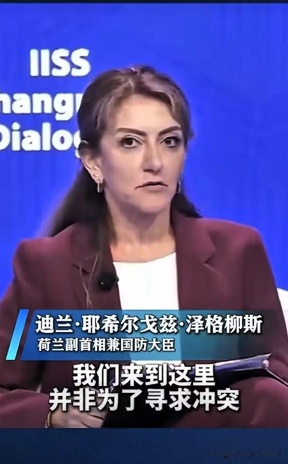 香会现场，中国刘万侠大校灵魂拷问，荷兰防长彻底慌了

就在5月31日，在香会现场