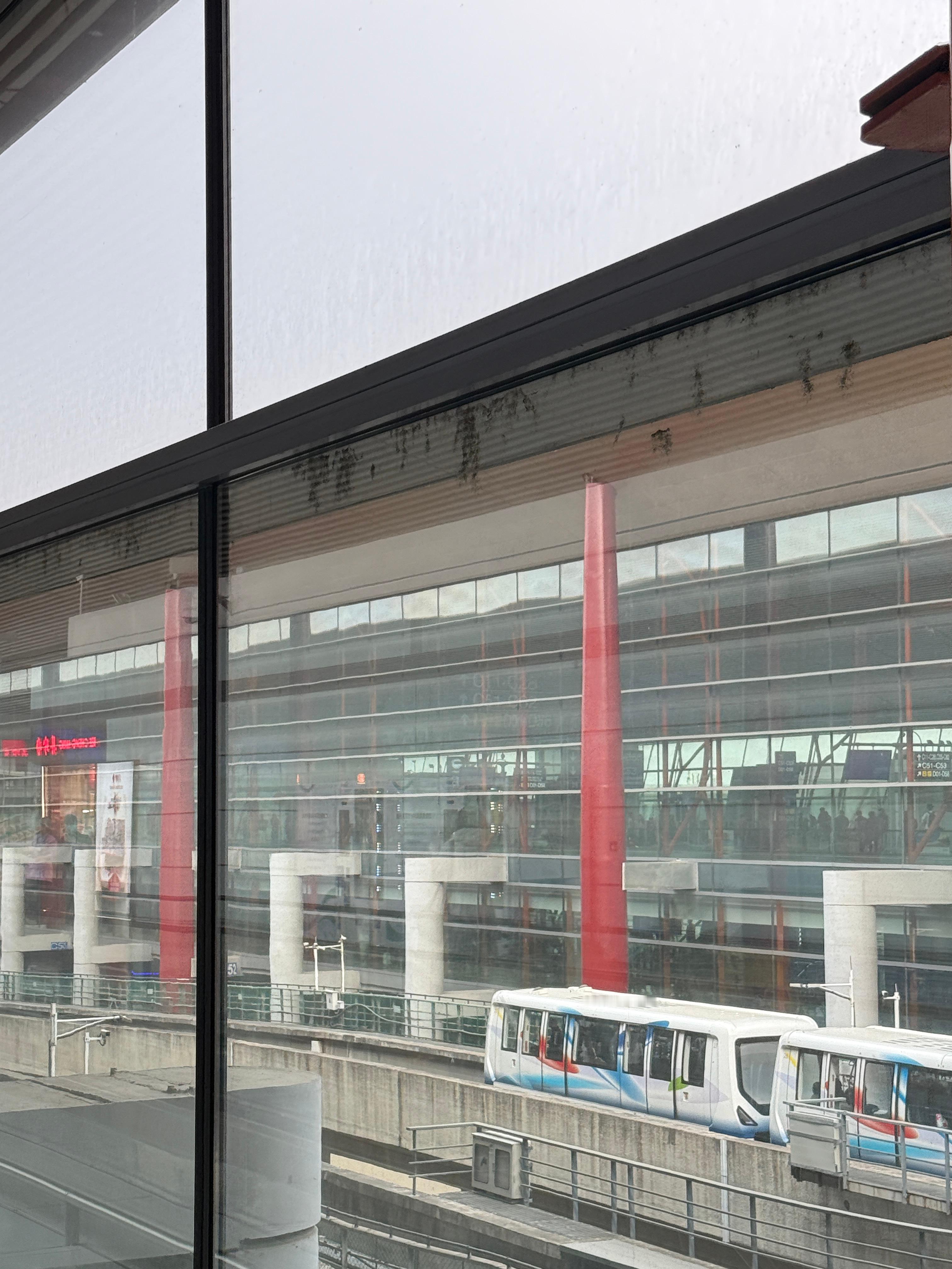 不知道是我熬夜熬多了还是北京这天太阴沉了明明是中午，我感觉像晚上五六点了… 