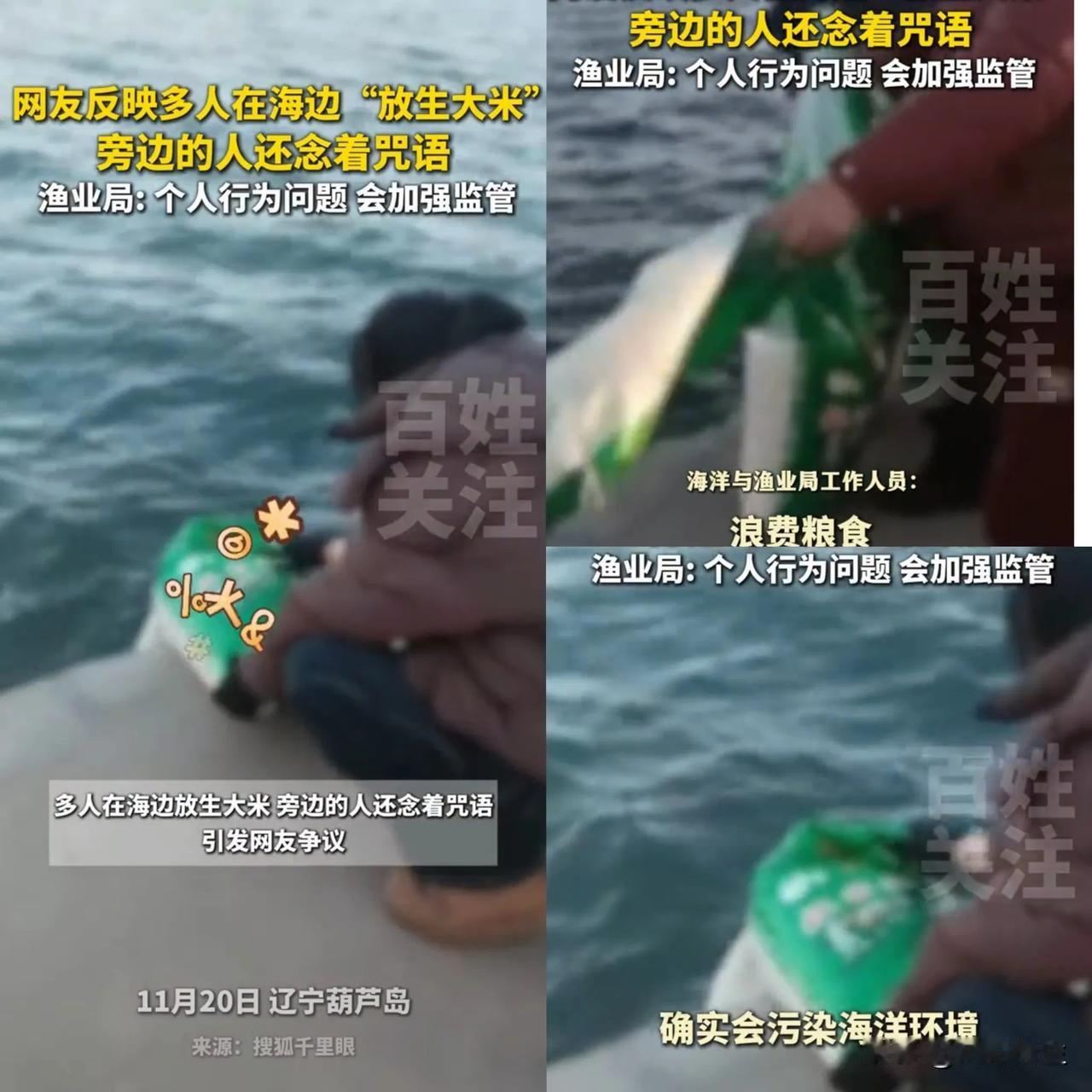 看过有人放生鱼的，
也看过有人放生乌龟的，
万万没想到，辽宁有人居然放生大米的，