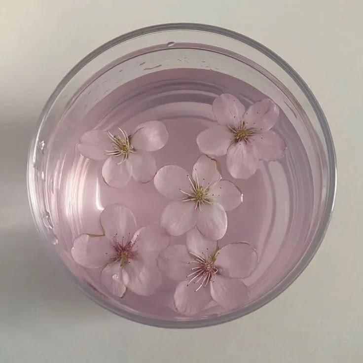 【背景图】分享‹𝟹₊˚⊹♡粉色|黑色|梦幻|中式|清冷|仙境|樱花|迷雾|审美