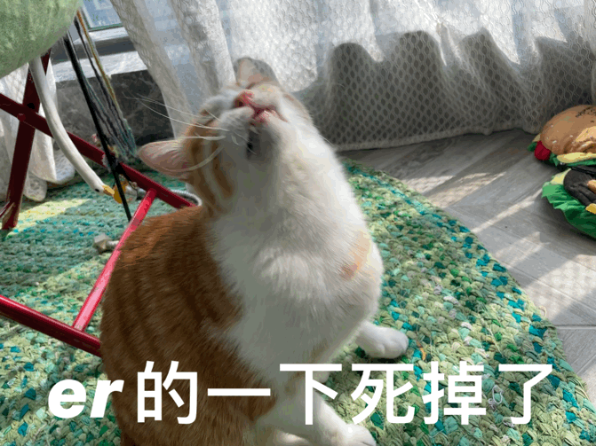 看来我已经不属于年轻人了[跪了] ​​​