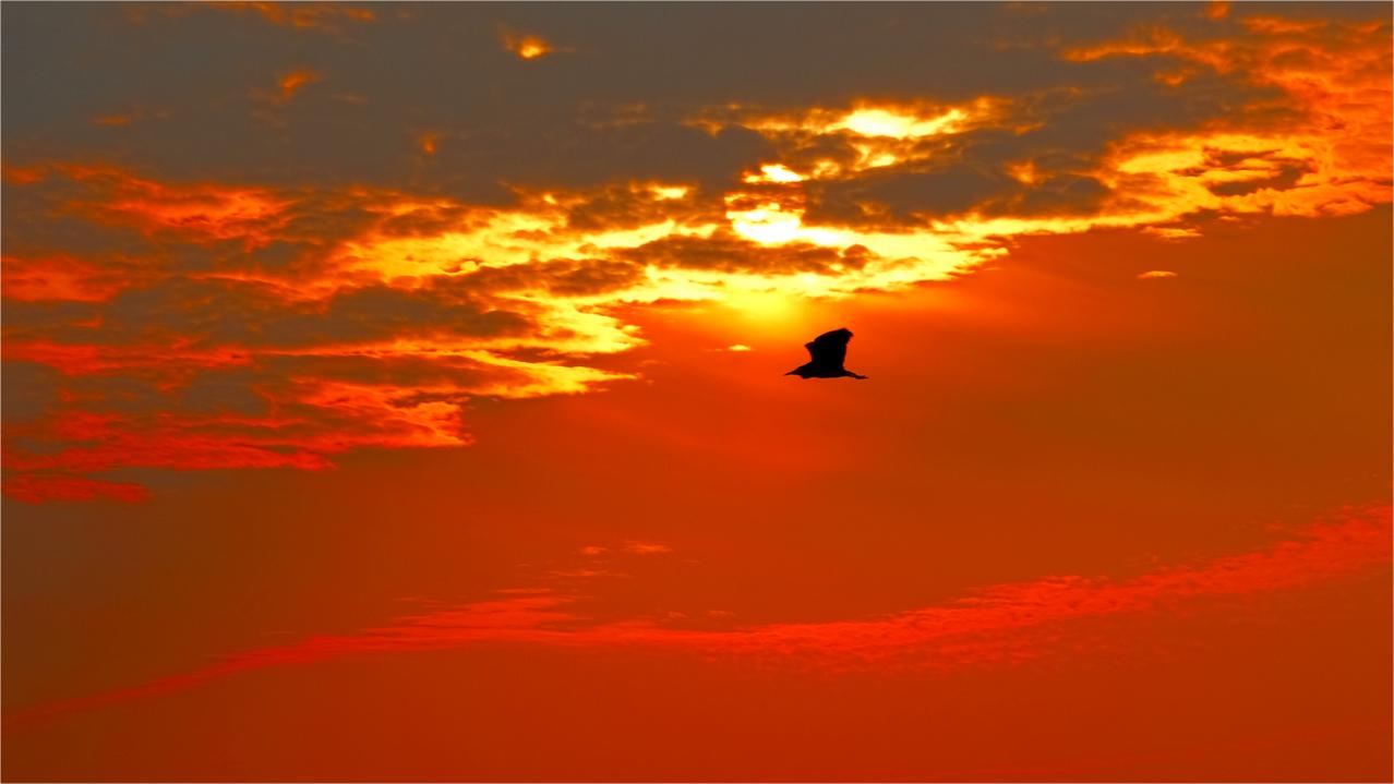 《暮景醉眸》
夕阳西坠映红天，云影重重幻彩绵。
天际霞绯如锦织，云端焰灿似花燃。