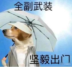 #夏天防晒真的需要全副武装吗#我认为，防晒固然重要，但过度防晒却可能带来不必要的