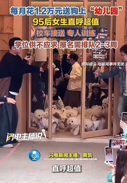 “人不如狗实锤了！上海95后女生每月砸1.2万送狗上‘贵族幼儿园’，还得排队抢名