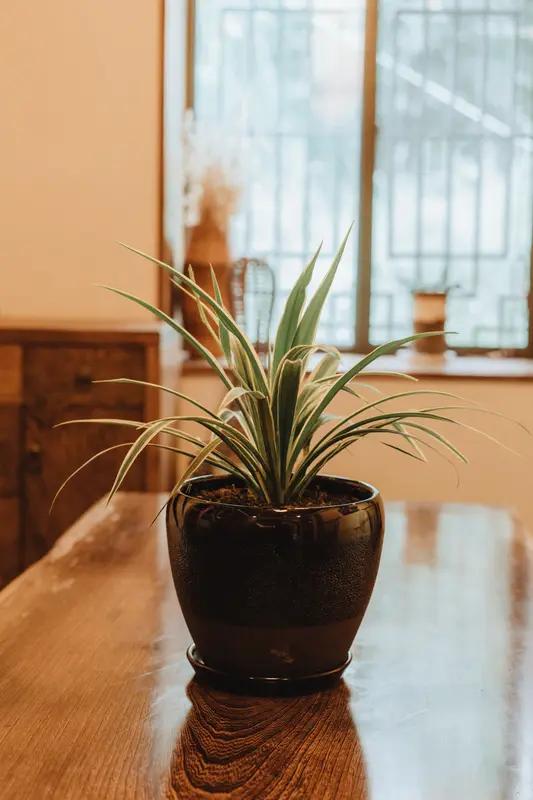 现在的人，失去的东西还真不少。
先说说“慢下来”的能力，以前一杯茶一本书就能消磨