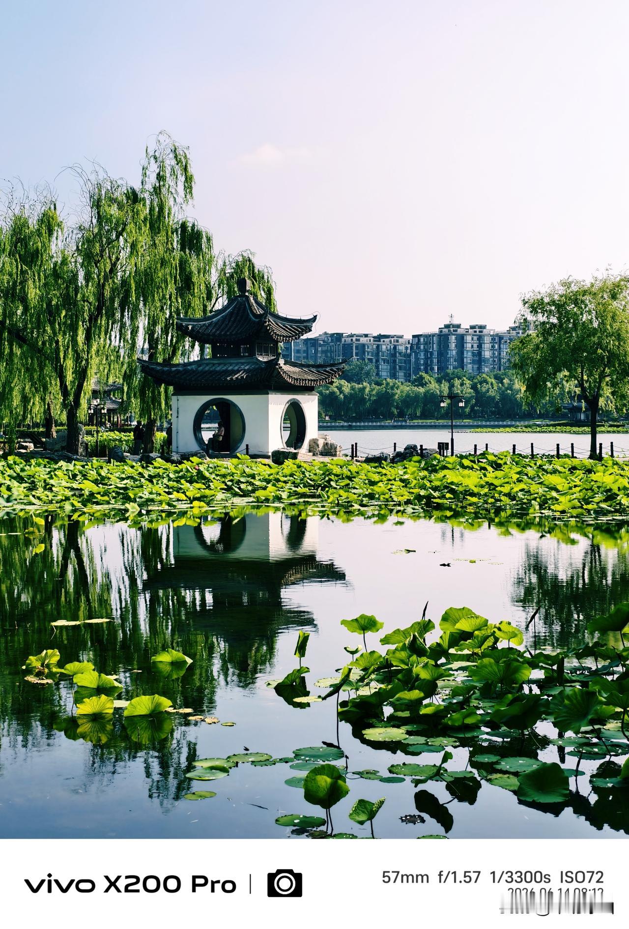 六月的北京陶然亭公园，到处郁郁葱葱，绿意盎然，随手一拍“吹台亭”也俗称“钓鱼台”