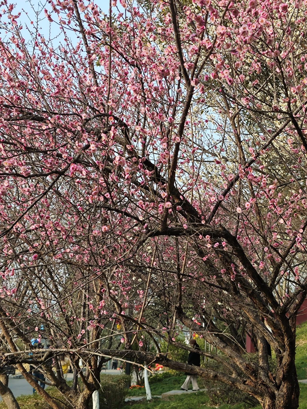 分享一张你手机里最近拍的风景照