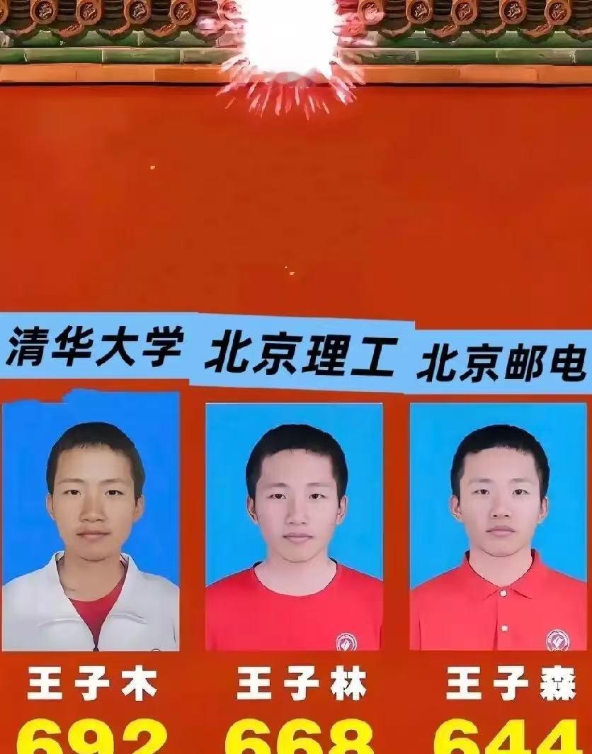 厉害了贵州的三胞胎学霸！

王子木 —— 692 分，清华大学
王子林 —— 6