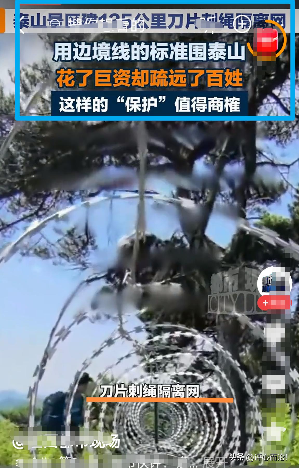 泰山｜“中泰”边界？！用135公里的刀刺网围起来，就是为了防虫防火防驴友！防虫？