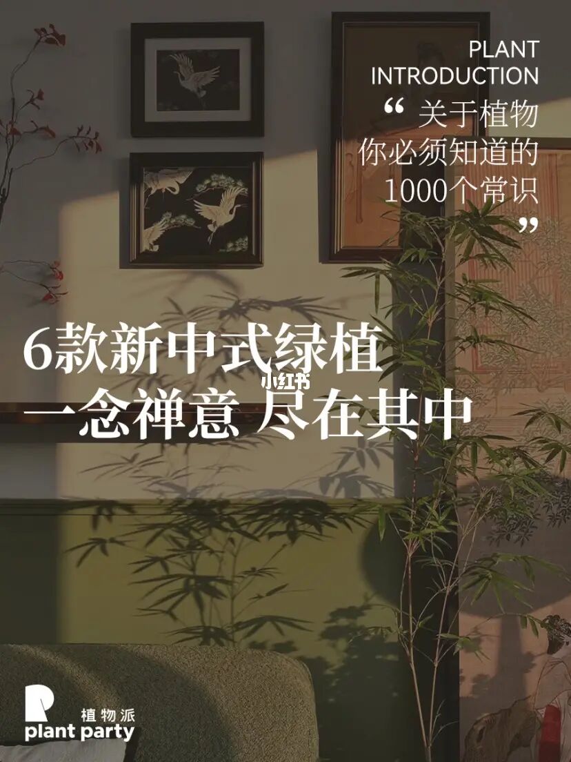 6款新中式绿植🍵东方禅意感氛围拉满