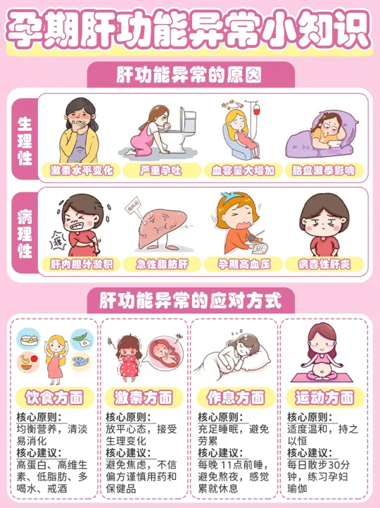 孕妈必看！肝功能异常的信号与应对方法
