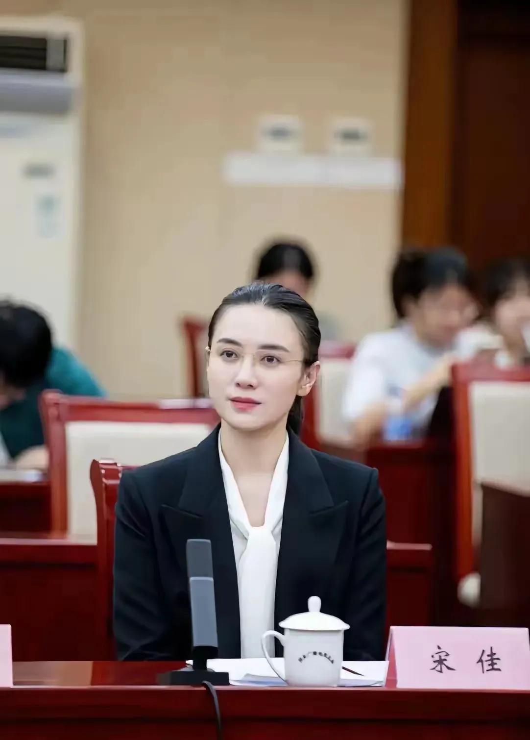 小宋佳穿上这身衣服太像女领导了。万幸啊，她竟然没有选择进体制内。否则，谁能保证她