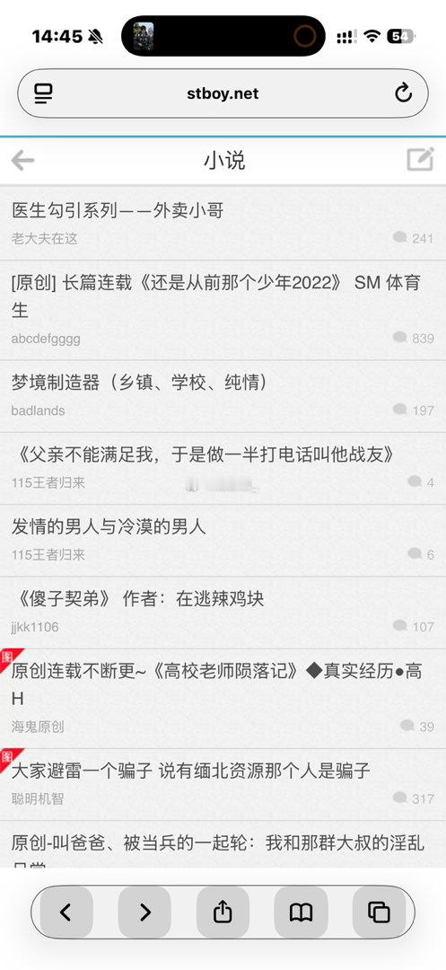好奇怪，老家这边的WiFi可以直接上这个论坛，在BJ需要挂🪜。 ​​​