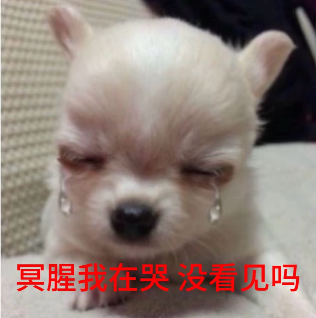 分享图片 ​​​