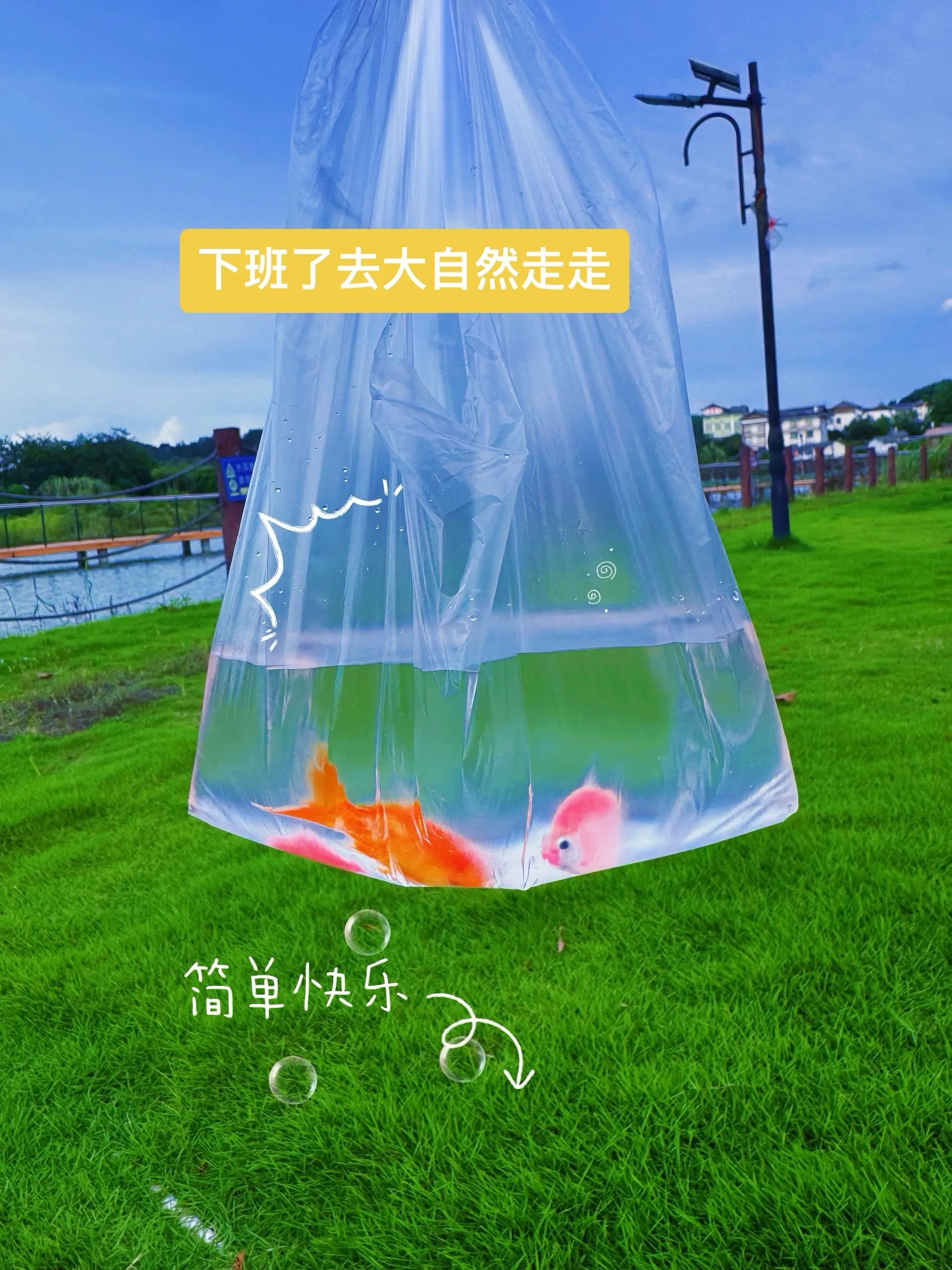 给同行老板送货上门，老板送的小金鱼，快乐就是这么简单