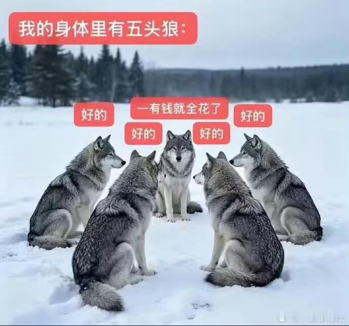 经常走在路上被陌生男性搭讪给了联系方式后如图一所示 