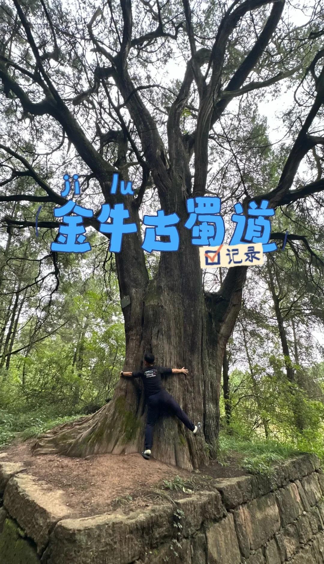 金牛古蜀道 | 真绝了我感觉吸到了天地灵气
路线：汉阳铺(汉阳镇)-抄手铺-剑州