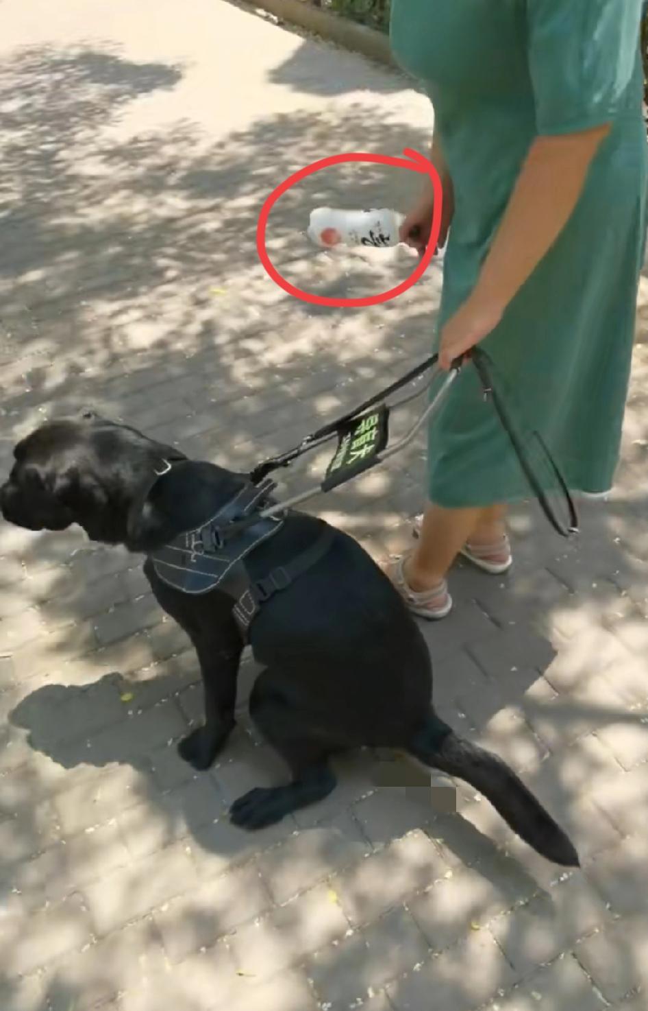 关于叫卡里的那只导盲犬，它的主人一直是不满意的，她发的首贴就是卡里走路中途排泄，