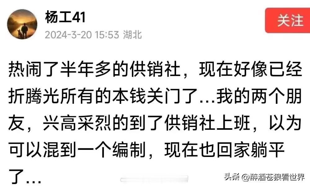 好像还真是，去年曾经一度很火的供销社，这事还有后续嘛 ​​​