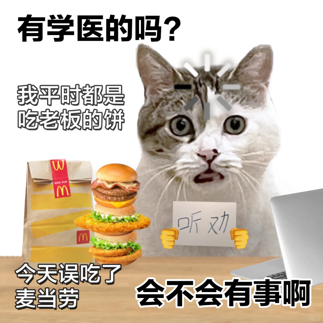 表情包 | 听劝的风还是把我吹到了麦当劳