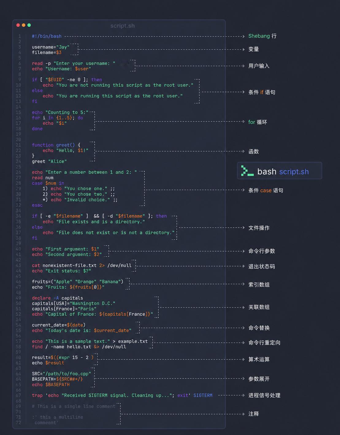 Bash 脚本编程基础 (Bash Scripting Basics) 指南。