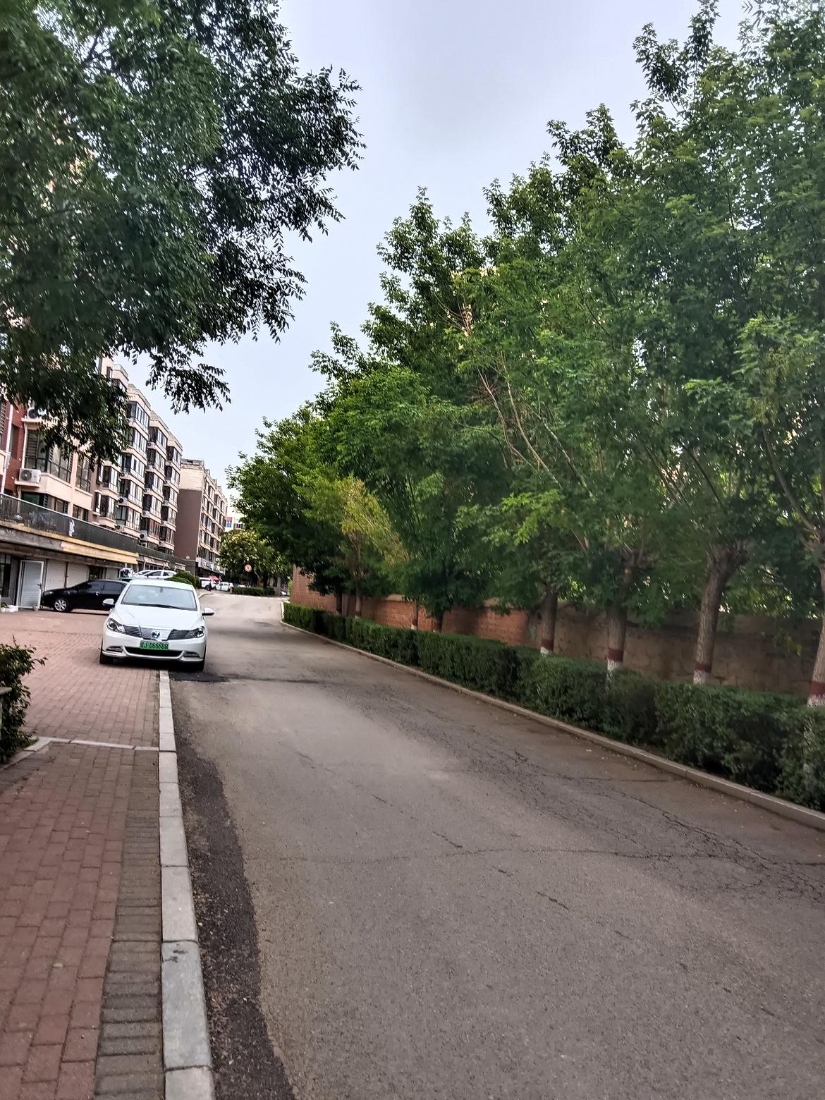 宁静的街道，绿树成荫，阳光洒落，岁月静好。