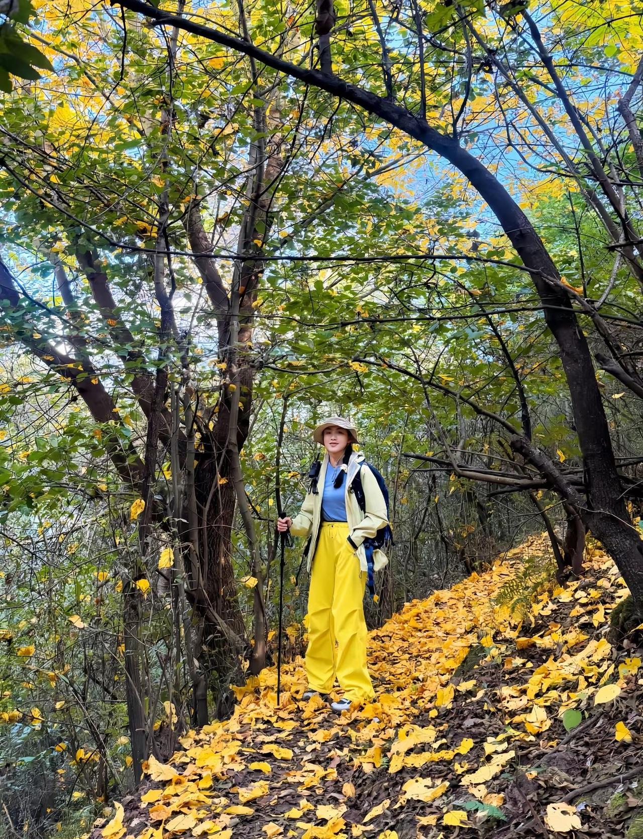 易门老黑山拔草～爬山 爬山徒步  昆明爬山