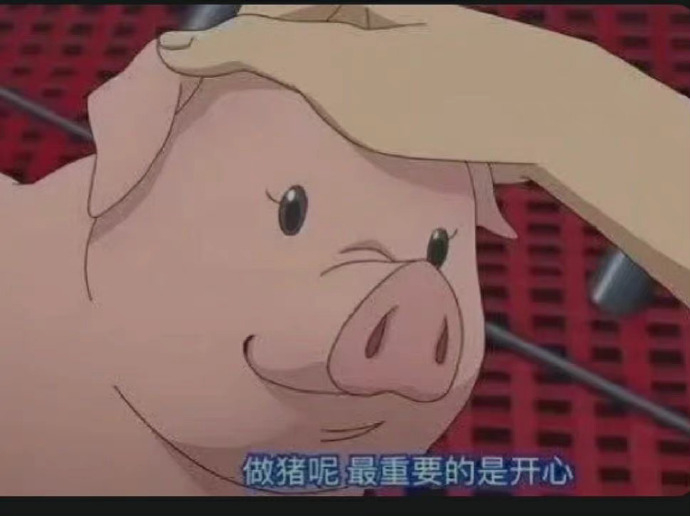 假如你是一只猪，生活在暗无天日的猪圈里，就会把在猪圈里吃猪食看做极大的幸福，因此