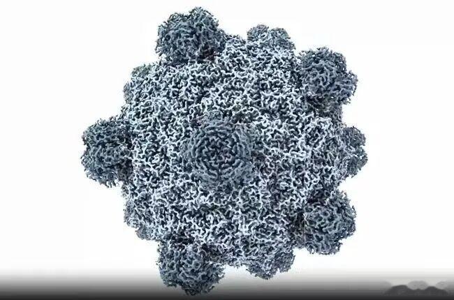 美科学家用AI设计出16种全新病毒先厘清关键科普：这批全新病毒是仅吞噬细菌的噬菌