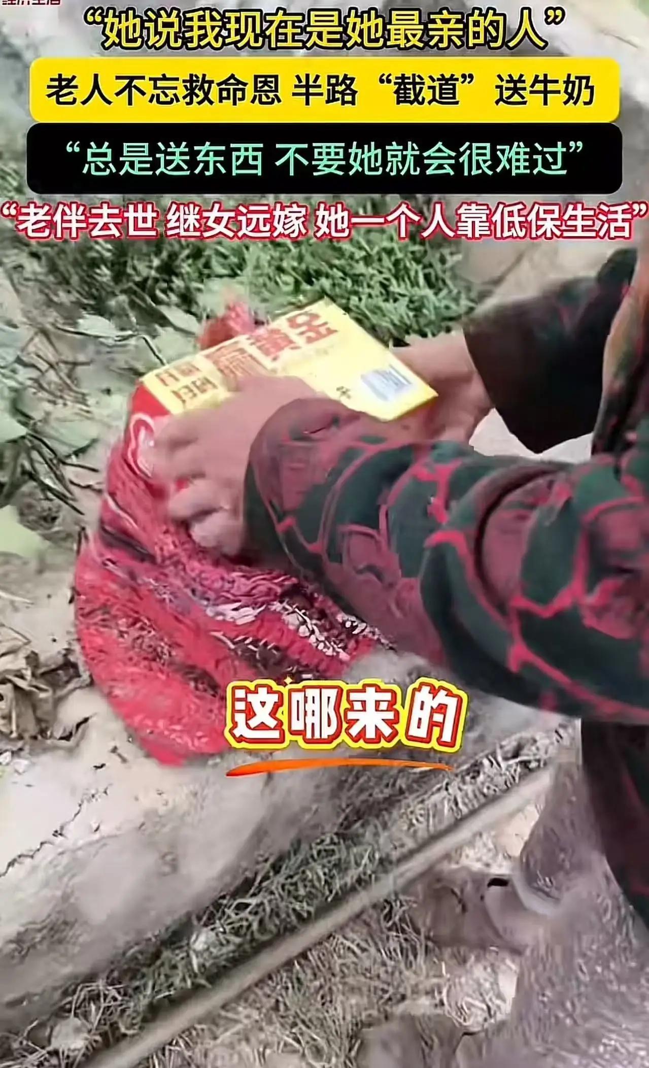 这个故事让我非常动容。一个孤独的老人，失去了老伴，继女远嫁，靠着微薄的低保艰难生