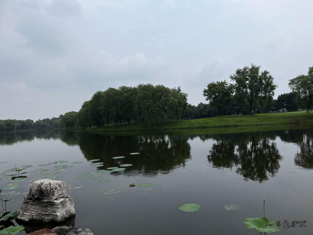其实，很多男人都不愿意承认老婆比自己优秀，比自己认知更高阶，尽管他心里很清楚。