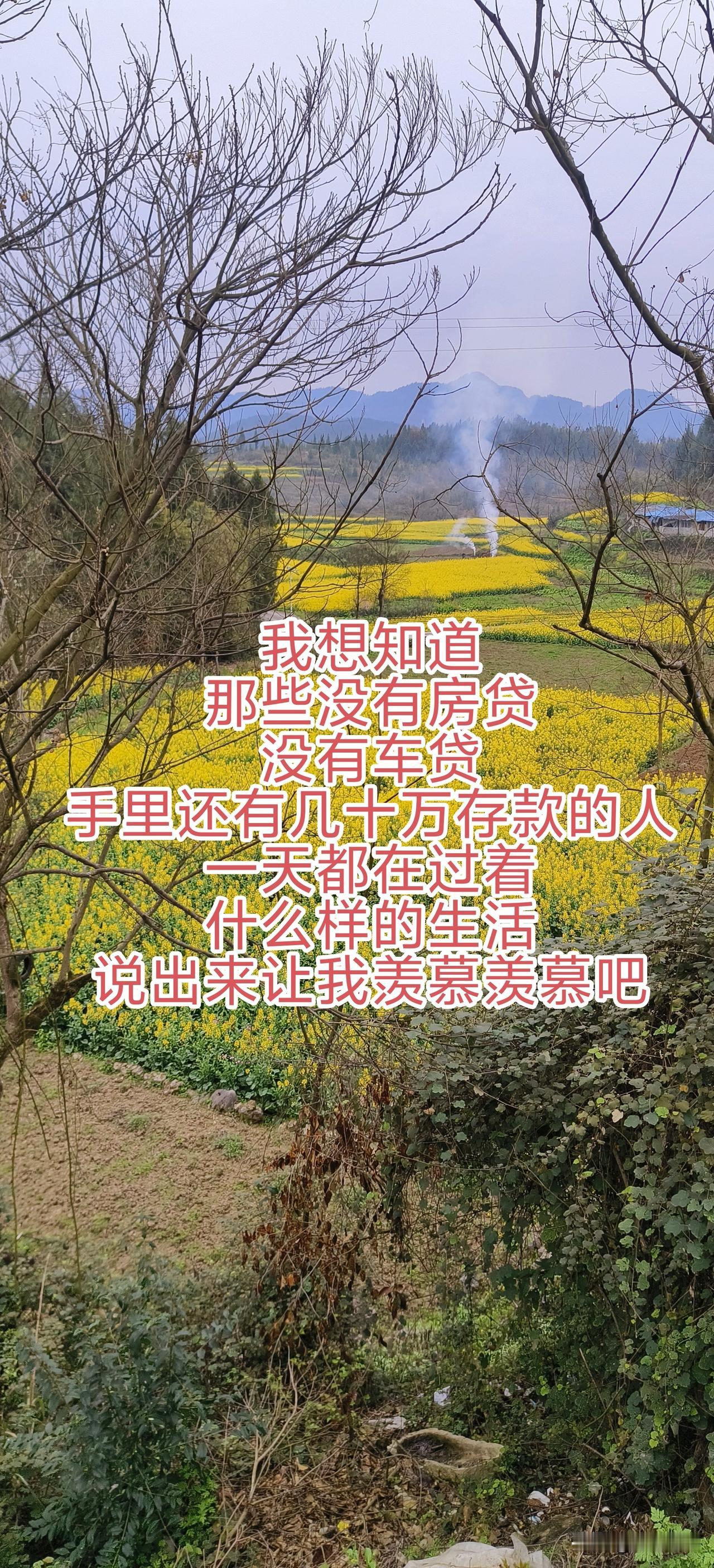 什么时候才能有诗和远方啊？