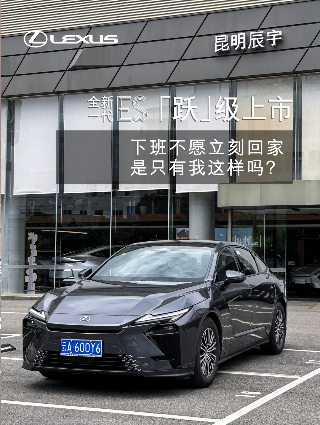 大屏泛滥的时代 你大概率没体会过独处治愈
