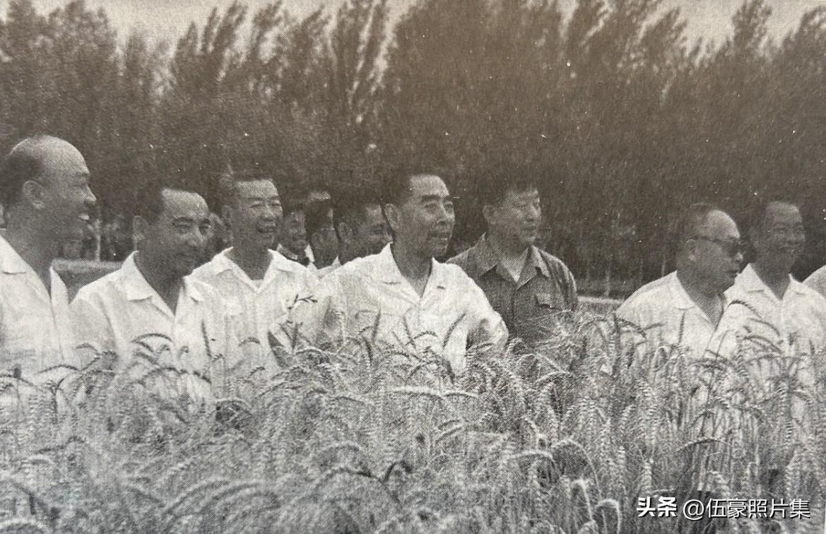 1965年7月5日，周恩来总理与陈毅副总理在出访归国途中，专程前往新疆生产建设兵