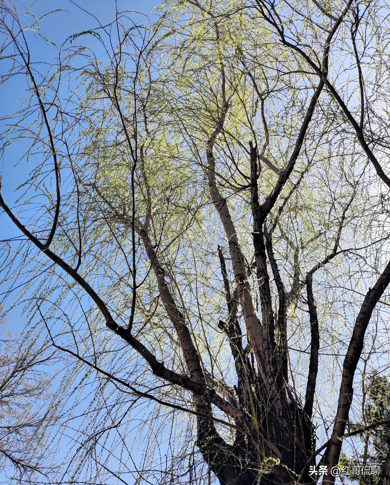 主理人和老板的核心区别（一句话看懂）
 
老板 = 掌控所有权、赚钱、管整体；主