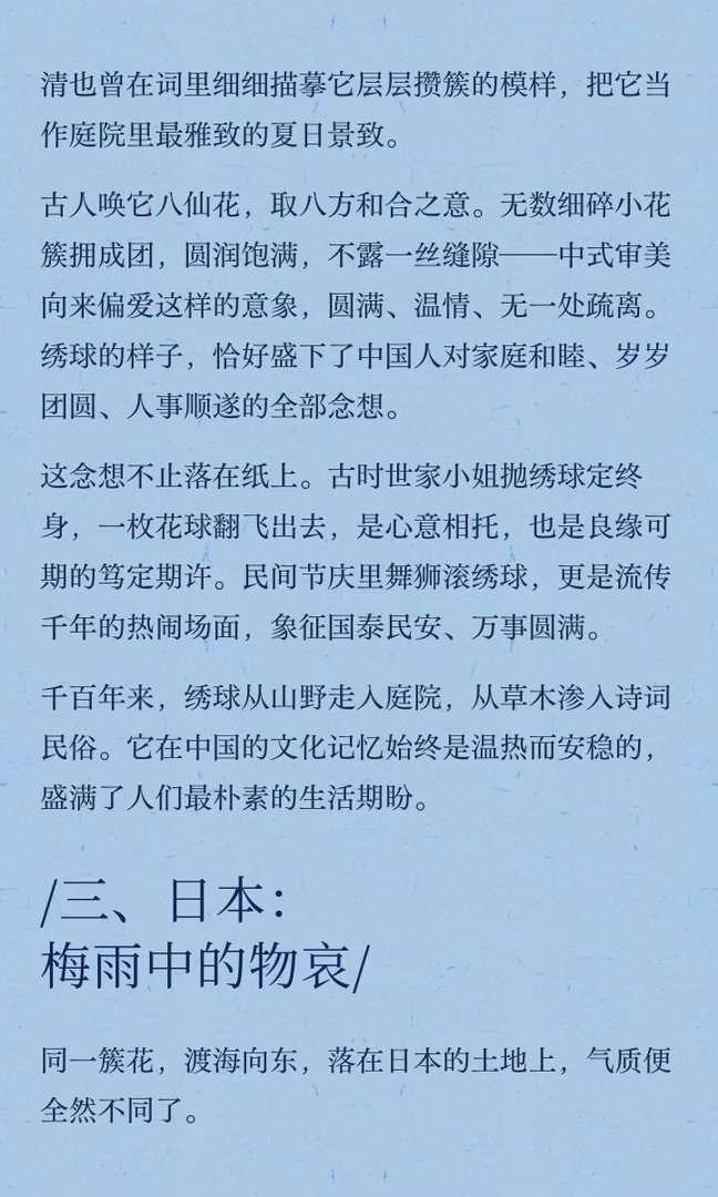 太爱绣球花，就写了一篇文章，无尽夏日，有花可赏是一件美事、雅事…… 