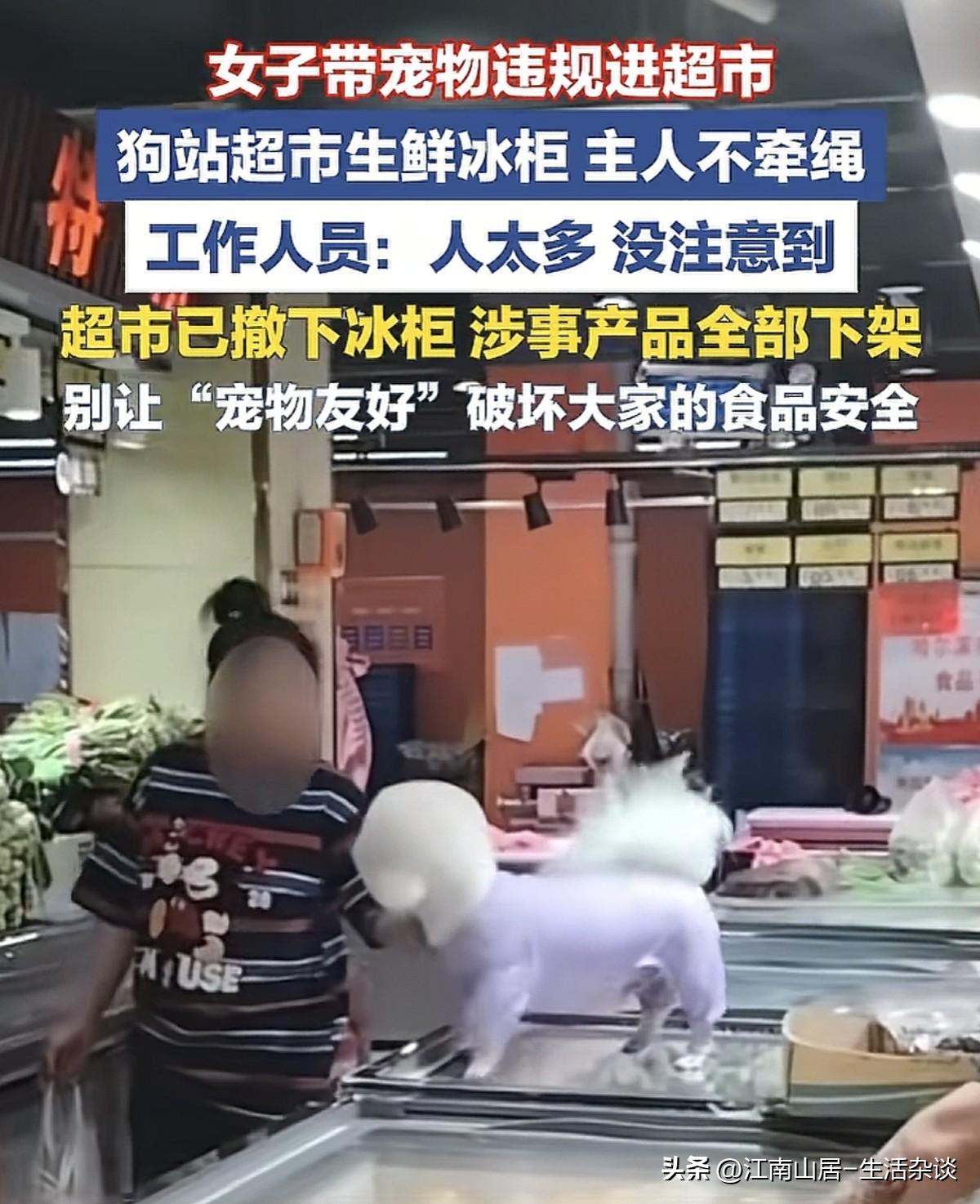 养宠物没什么，毕竟这是个人的兴趣爱好，但是再喜欢宠物，再宠爱自家的宠物犬，也不能