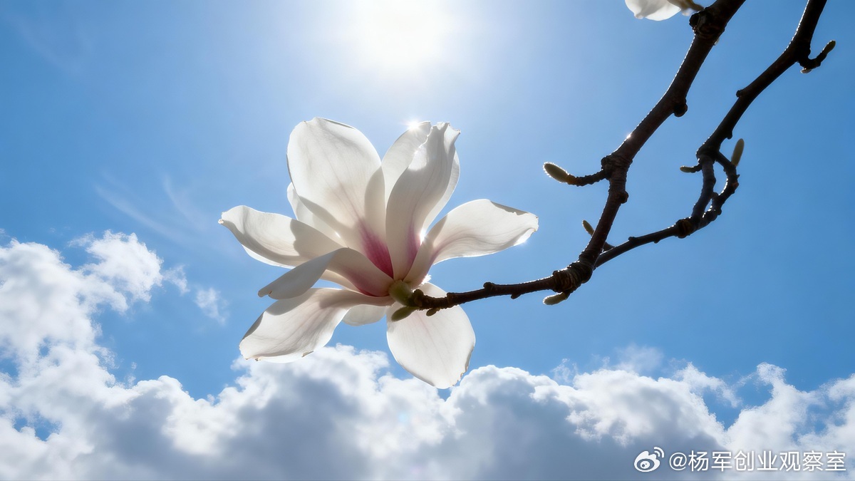 许多老板融资受阻，以为是PPT“没写好”，实则是认知“没翻译好”。投资人与你的关