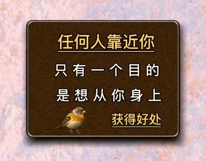 融不进去的圈子就不要硬融了，你自己难受别人也难受!
所以学会和自己和解才是人生的