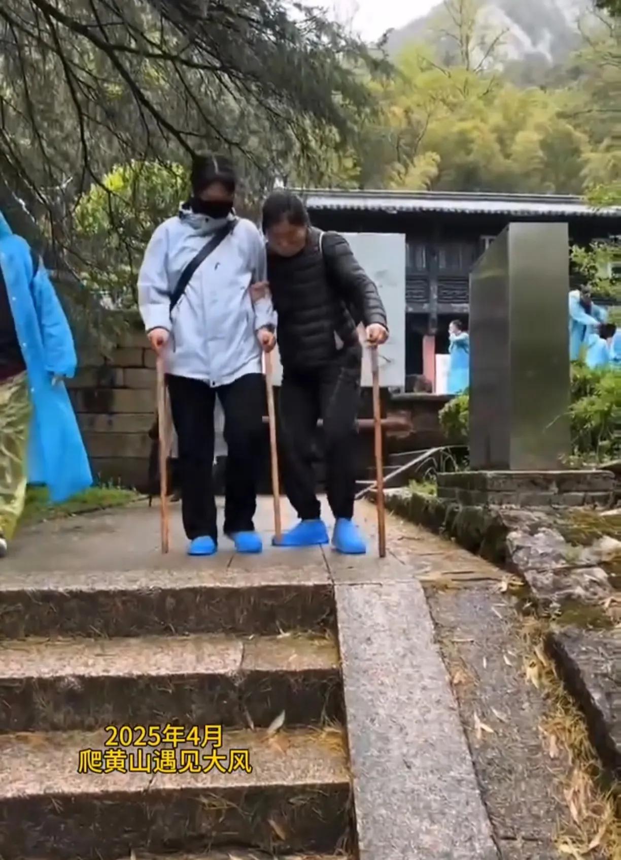 爬山淋雨

林深径险入云巅，意兴高飞鸟道穿。
骤起狂飙惊宿雾，突来密雨湿苍颜。
