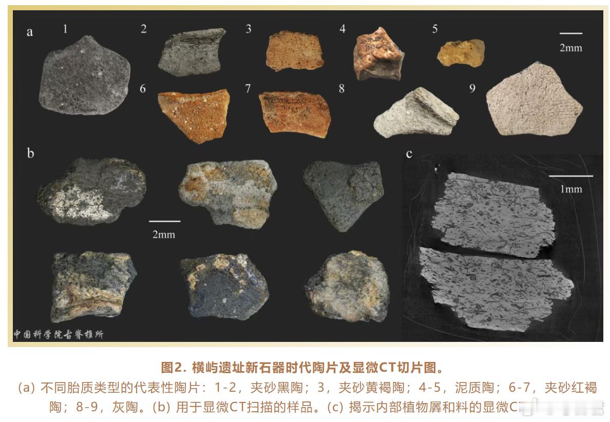 科技考古农业演进 在福建横屿遗址，考古学者利用显微CT技术，对陶片中的植物印痕进