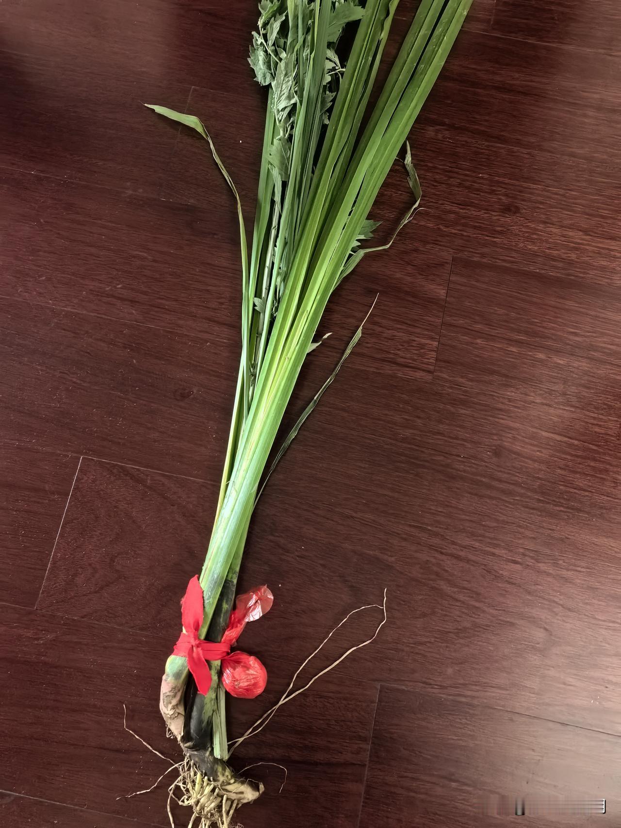 新艾换旧草
早上去买菜，路上碰到有人拿着艾草，艾叶蒲草，蒜头红线，很显眼。

算