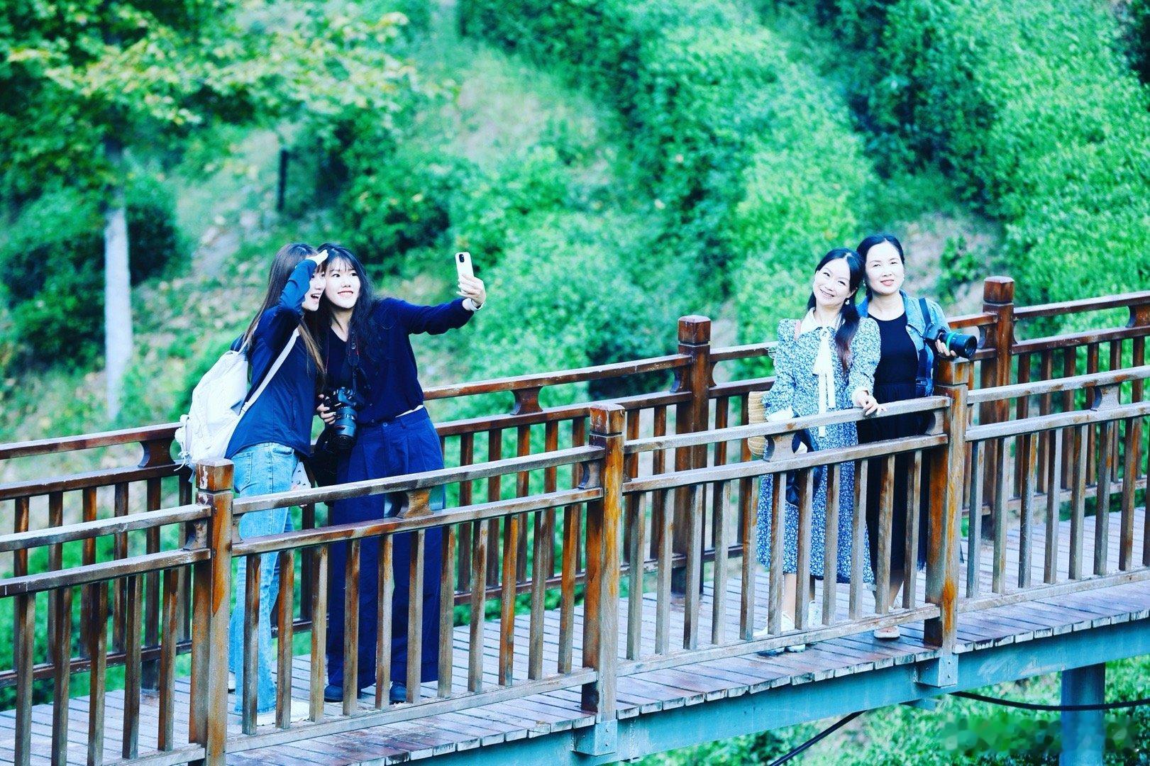 蒋家坪村地处汉、岚、紫一区两县交界处。蒋家坪的最美茶园，宛如一幅绚丽的自然画卷。