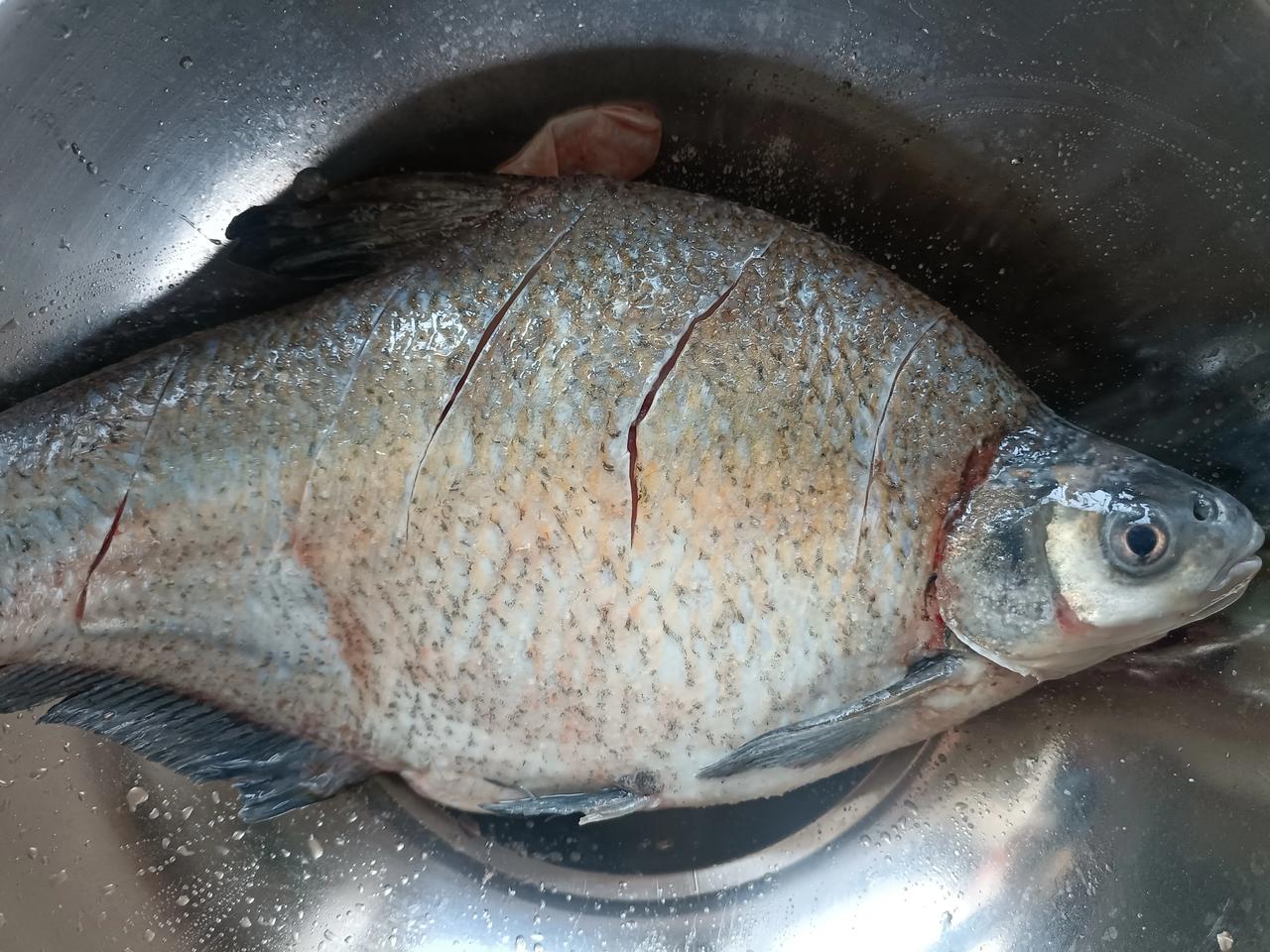 鱼被掏去心脏，还不会死，但它肯定非常痛苦吧？反正我是这样想的。

刚买了条鱼，人