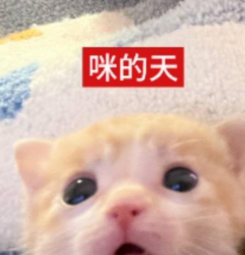 直到今晚上才知道 原来紫粉之前这么牛逼 [恐惧]
我长久以来一直以为23年以前紫
