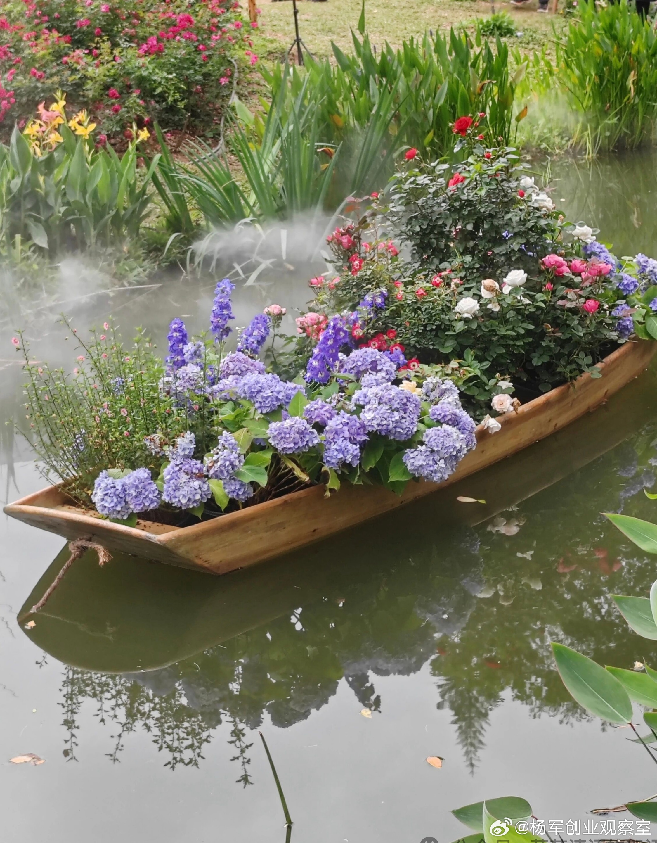 投资人要投资你，不做尽职调查就像闭眼开车。用好官方免费工具，快速摸清对方底细。这