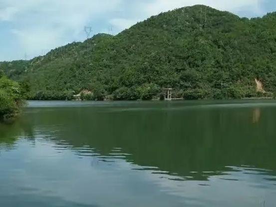 人世间的好景
常常在不经意之时撞见

就如宋诗人翁卷所写:
闲上山来看野水 忽于
