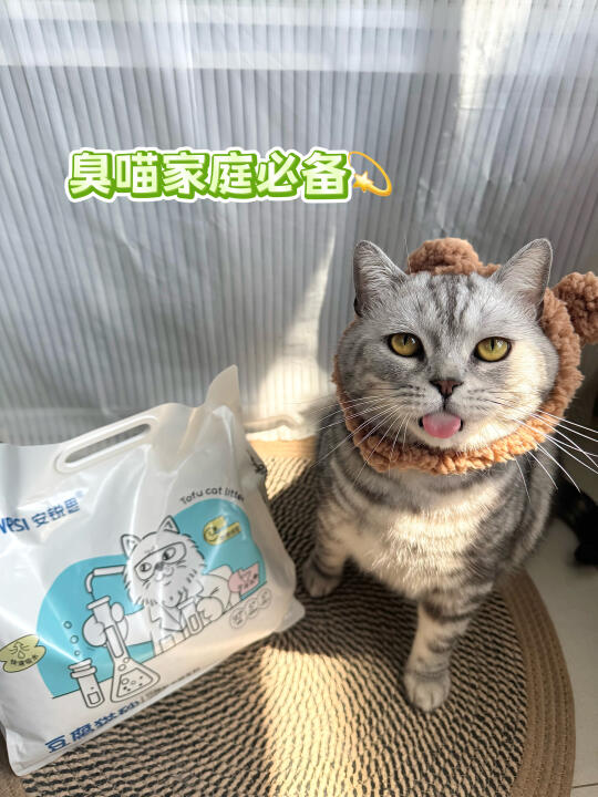 香香的猫砂来咯~🍃